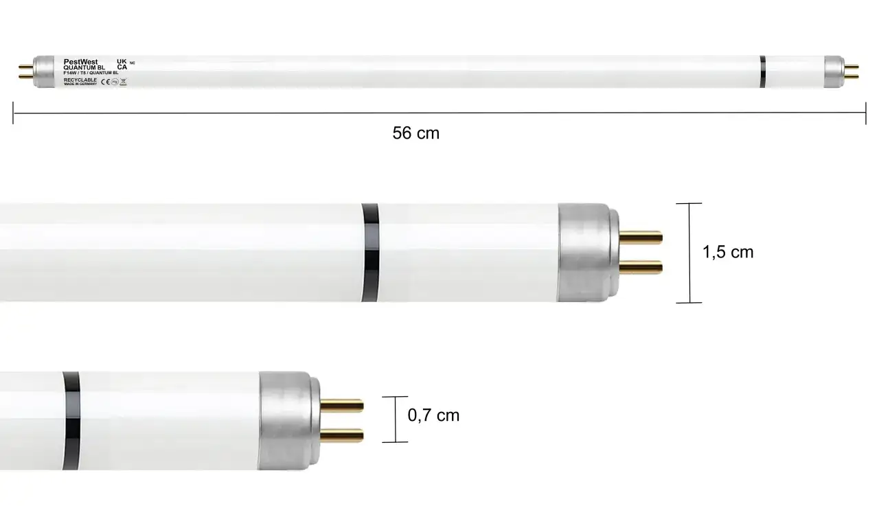 Świetlówka PestWest Quantum BL F14W/T5. Wymiary: 56 cm długości, 1,5 cm średnicy, 0,7 cm długości pinów.